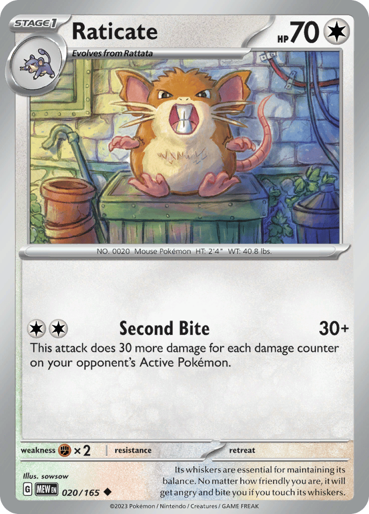 151 - Raticate
