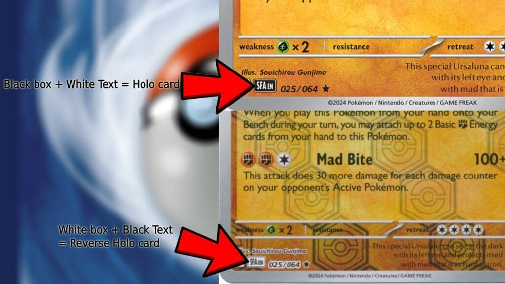 Expansion Codes Showing The Differences Between A Holo And Reverse Holo Pokemon Cards