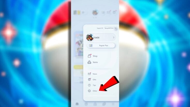 Other Settings In Pokemon Tcg Pocket