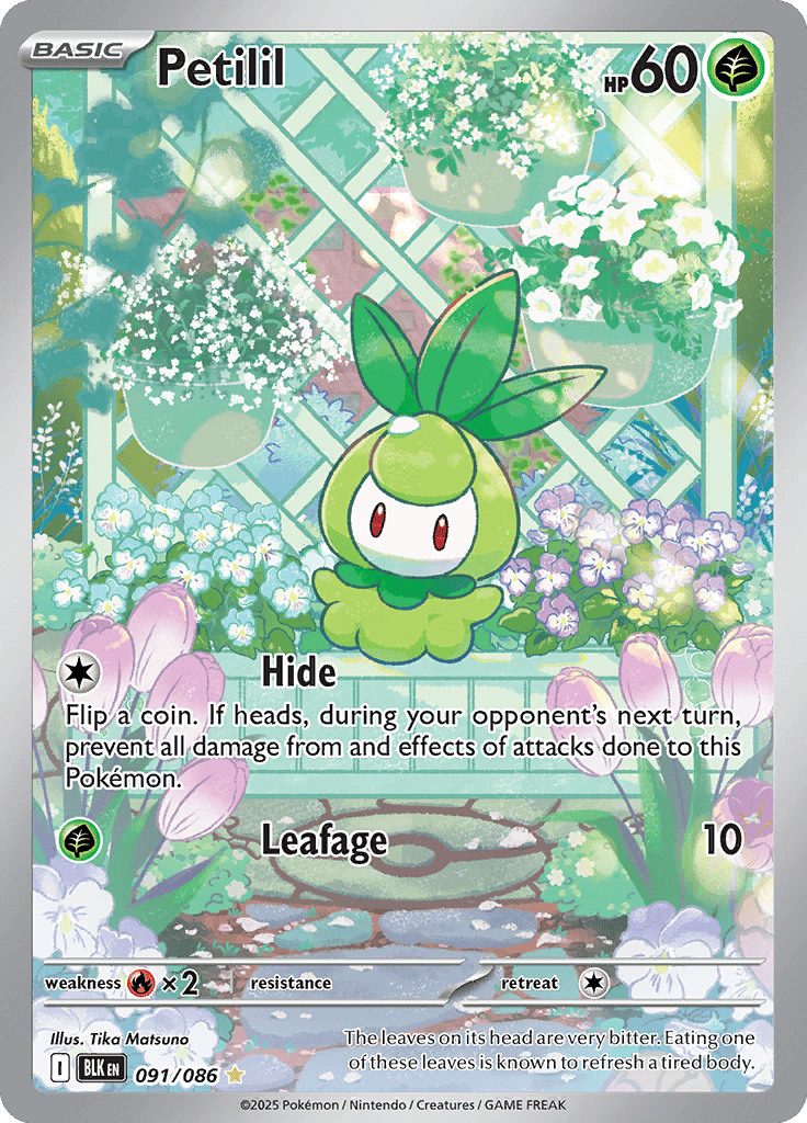 Black Bolt - Petilil