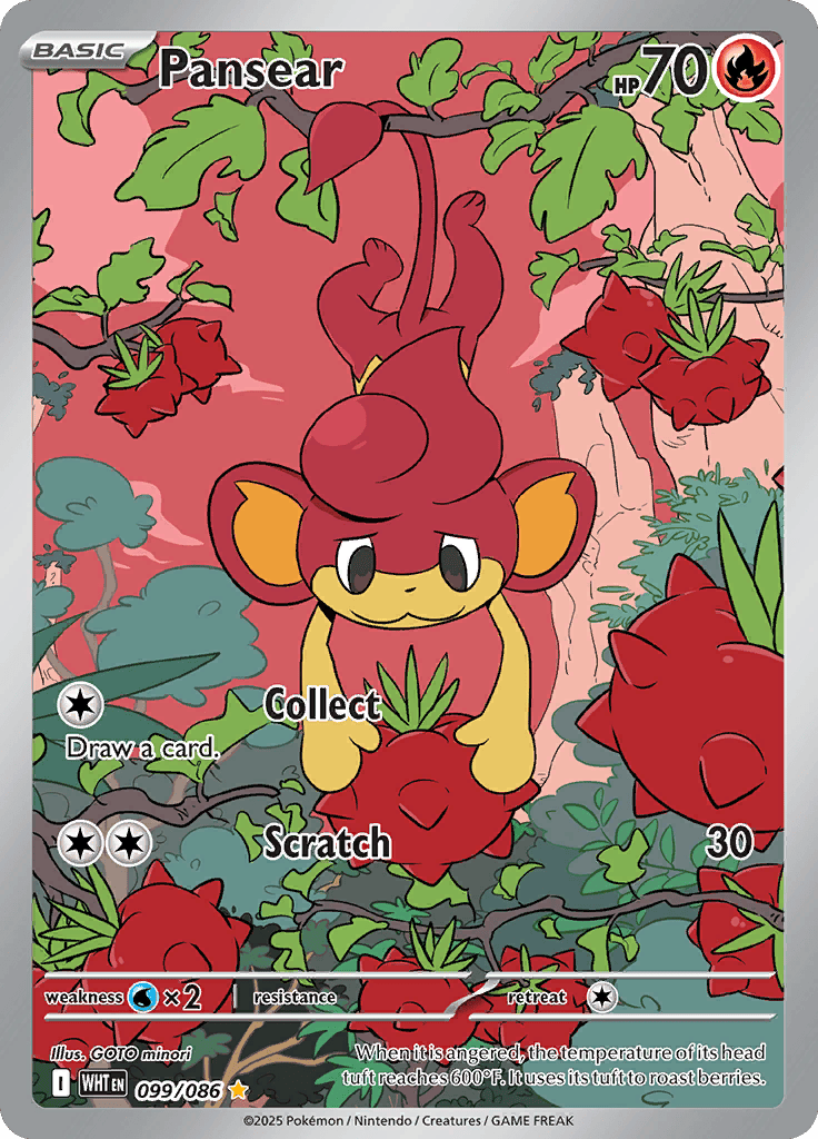 White Flare - Pansear